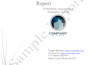 do a security testing of your website and provide a penetration testing report